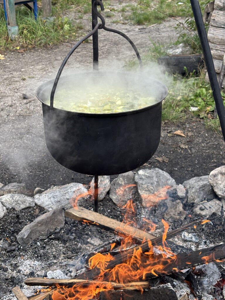 gemüsesuppe kochen am asp